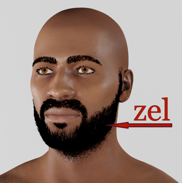 Zel